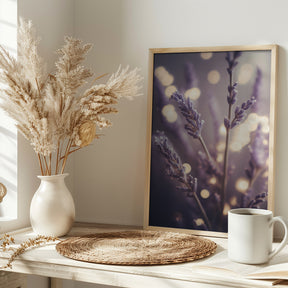 Lavender Detail Poster