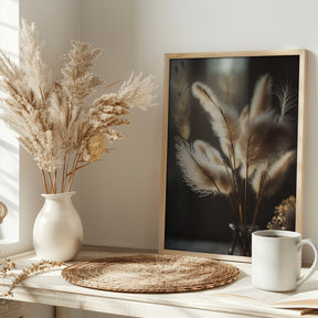 Pampas Grass In Sunlight Poster