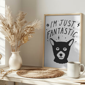 Im Just Fantastic Poster