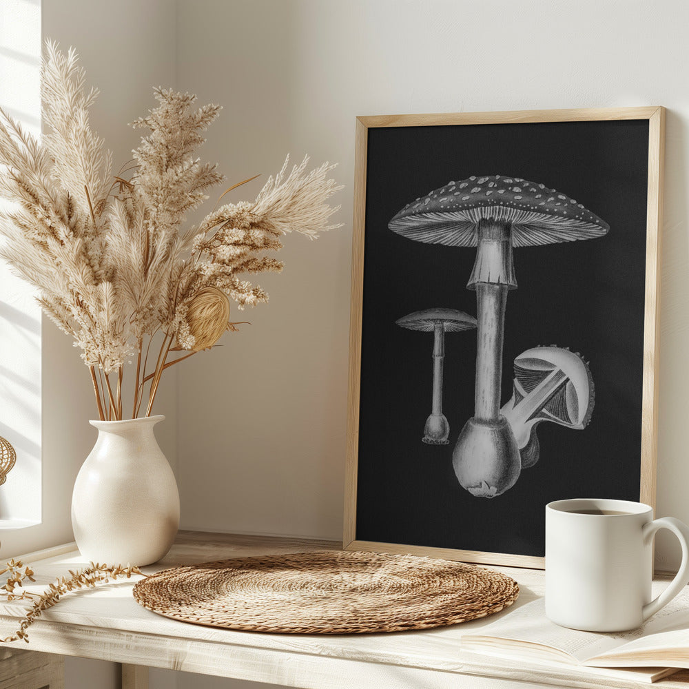 Amanita Muscaria Dark Background BW Poster