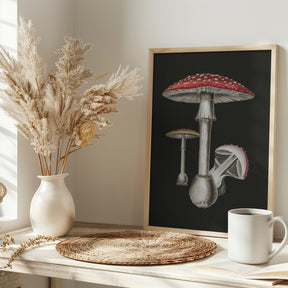 Amanita Muscaria Dark Background Poster