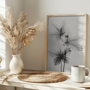 Transparent Botanic No 5 Poster