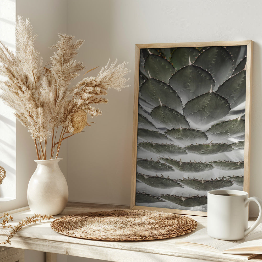 Agave Layers Poster