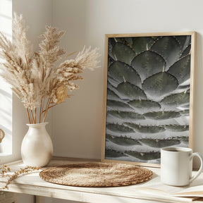 Agave Layers Poster