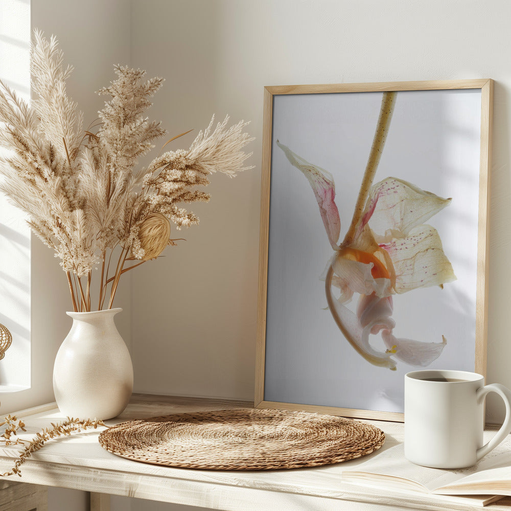 Arch Angle No2 Poster