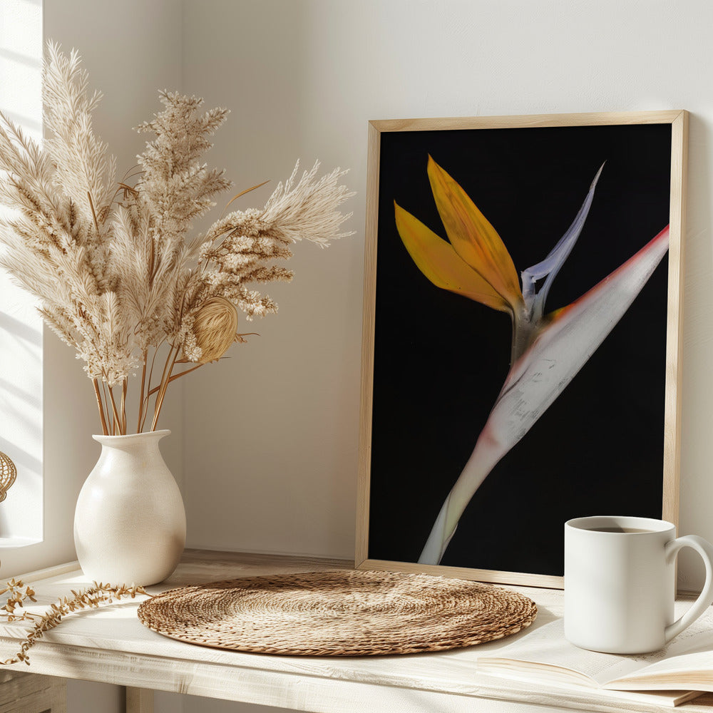 Bird of Paradise Poster