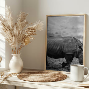 Black Rhino Poster