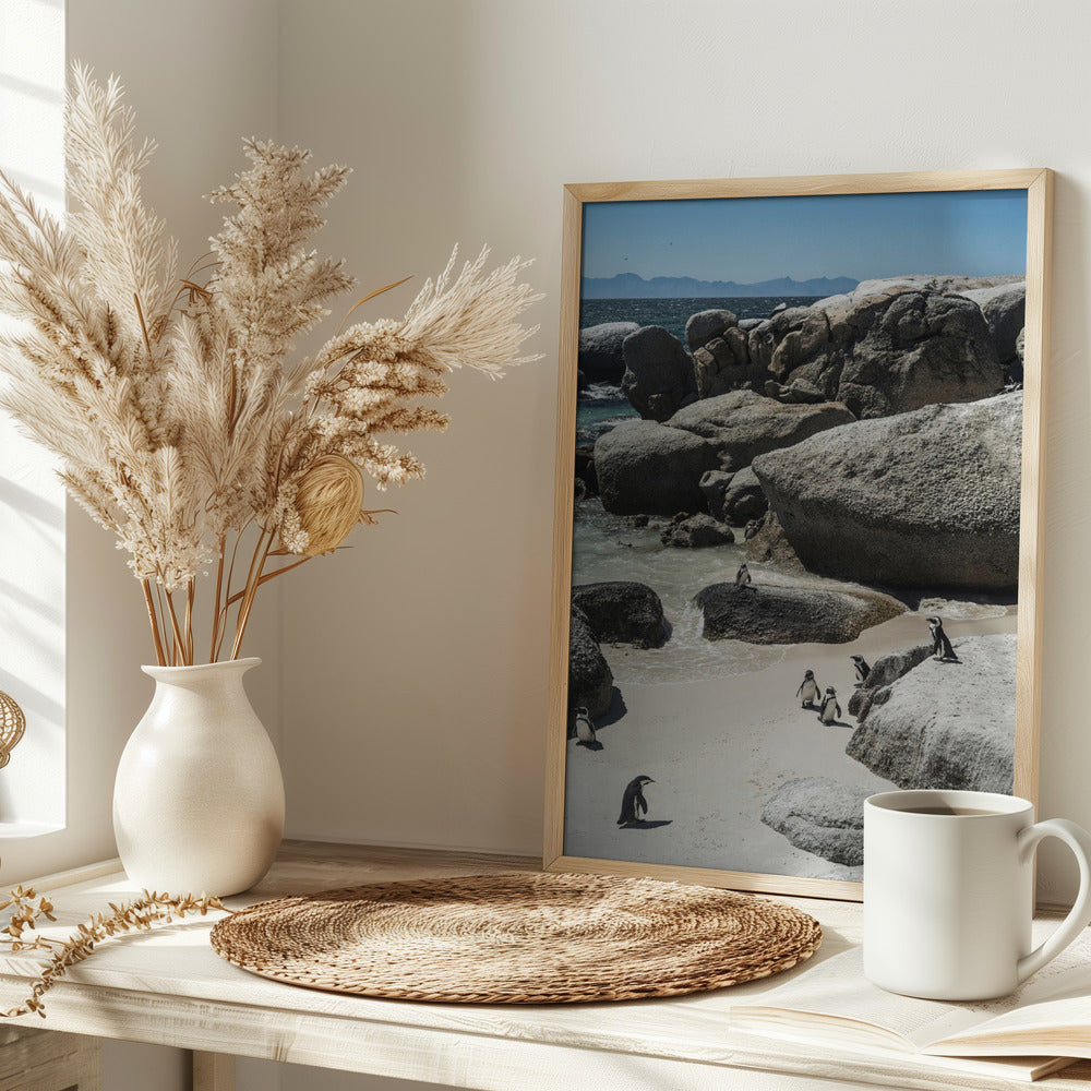 Boulders Beach Poster