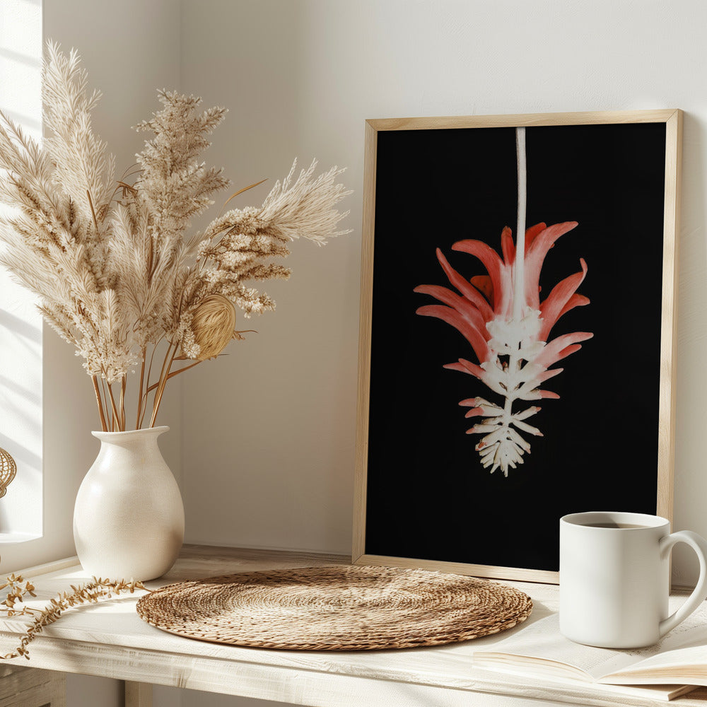 Coral Tree Flower Poster