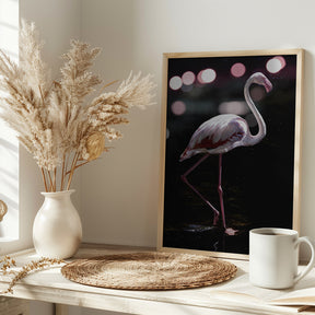 Dancing Flamingo Poster