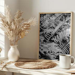 Forest Fern Poster