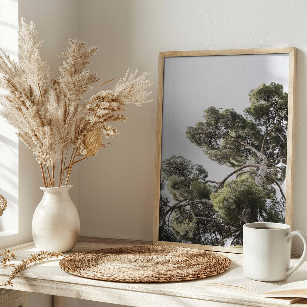 Japanese Garden 01 Poster