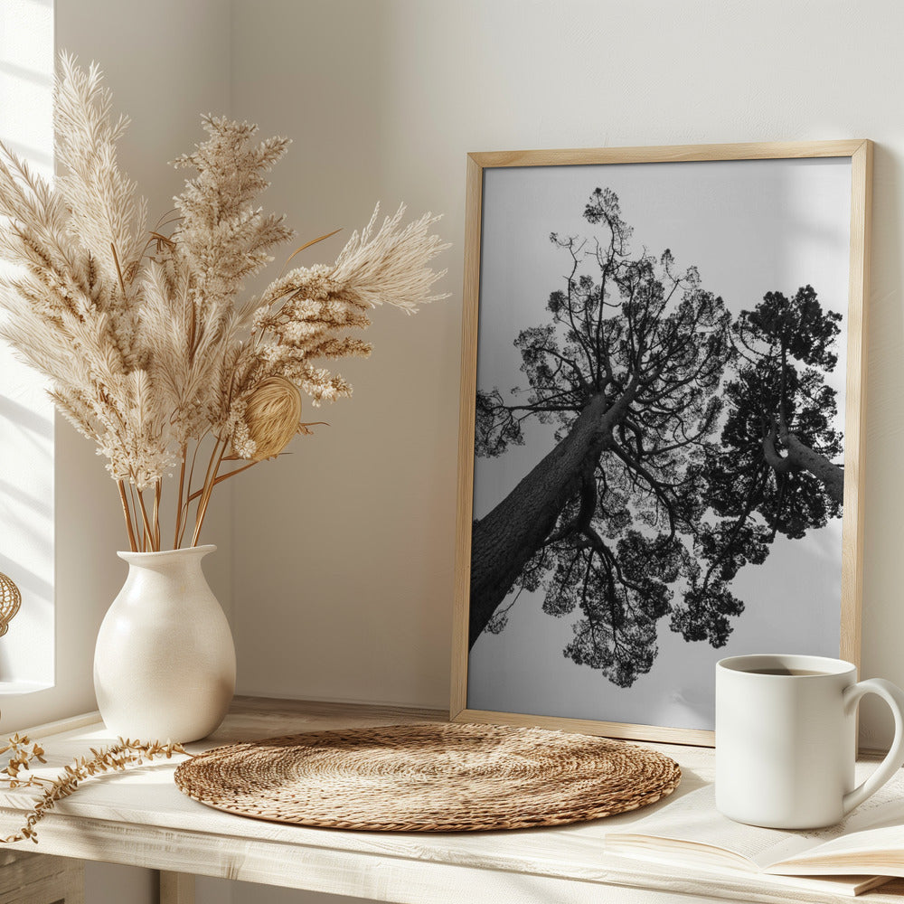 Japanese Garden 02 Poster