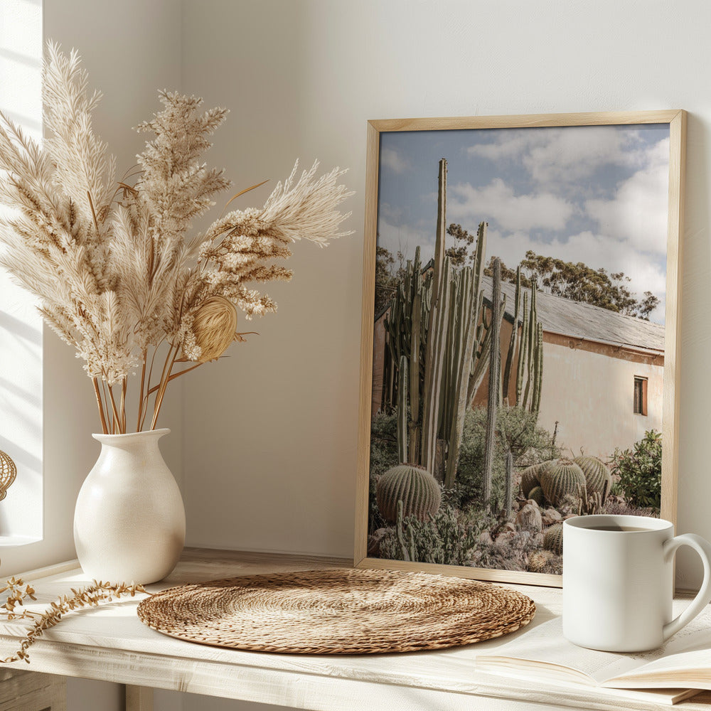 Karoo Garden 02 Poster