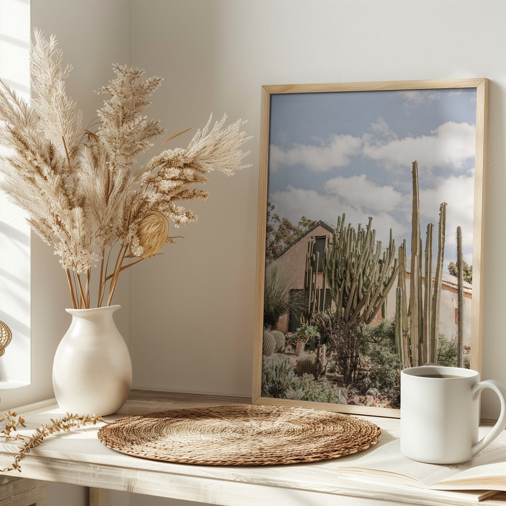 Karoo Garden Poster