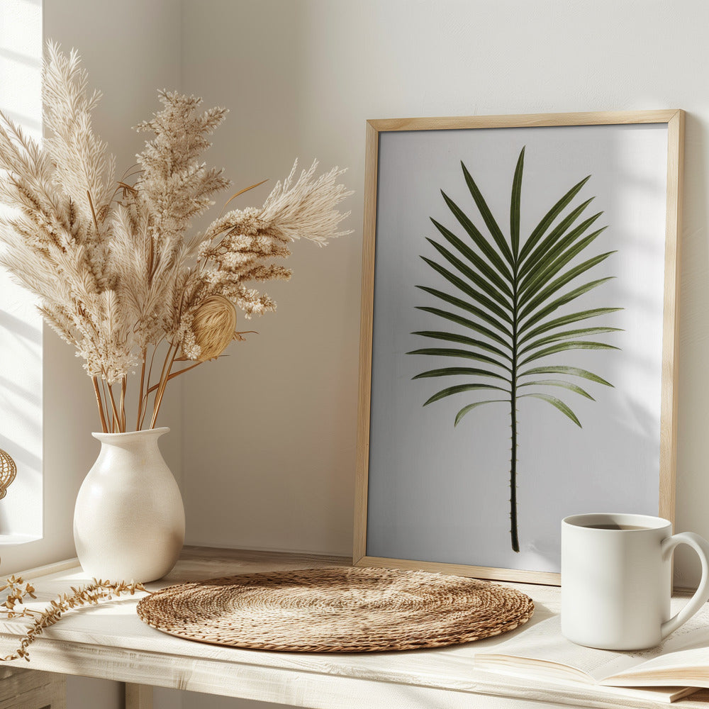 Leaf Study 04 Poster