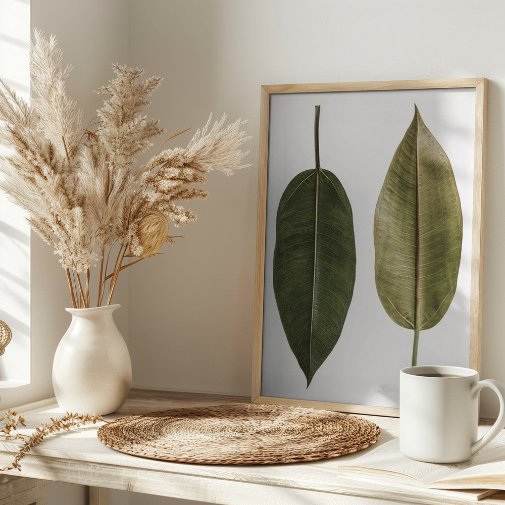 Leaf Study 05 Poster