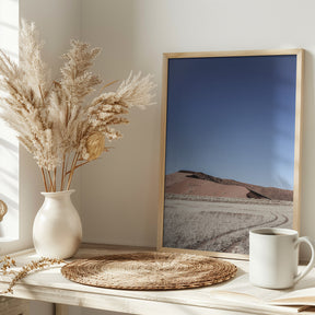 Namib One Poster