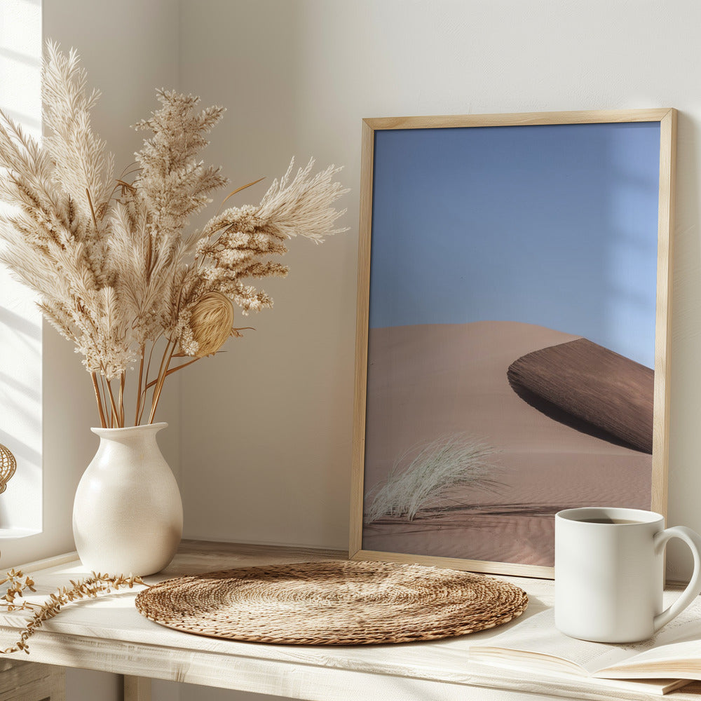 Namib Two Poster