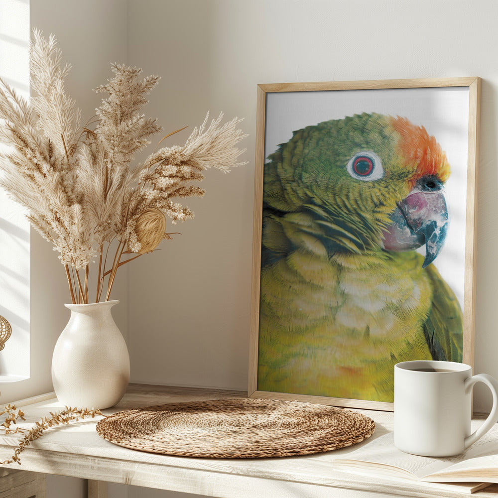 Parrot Poster