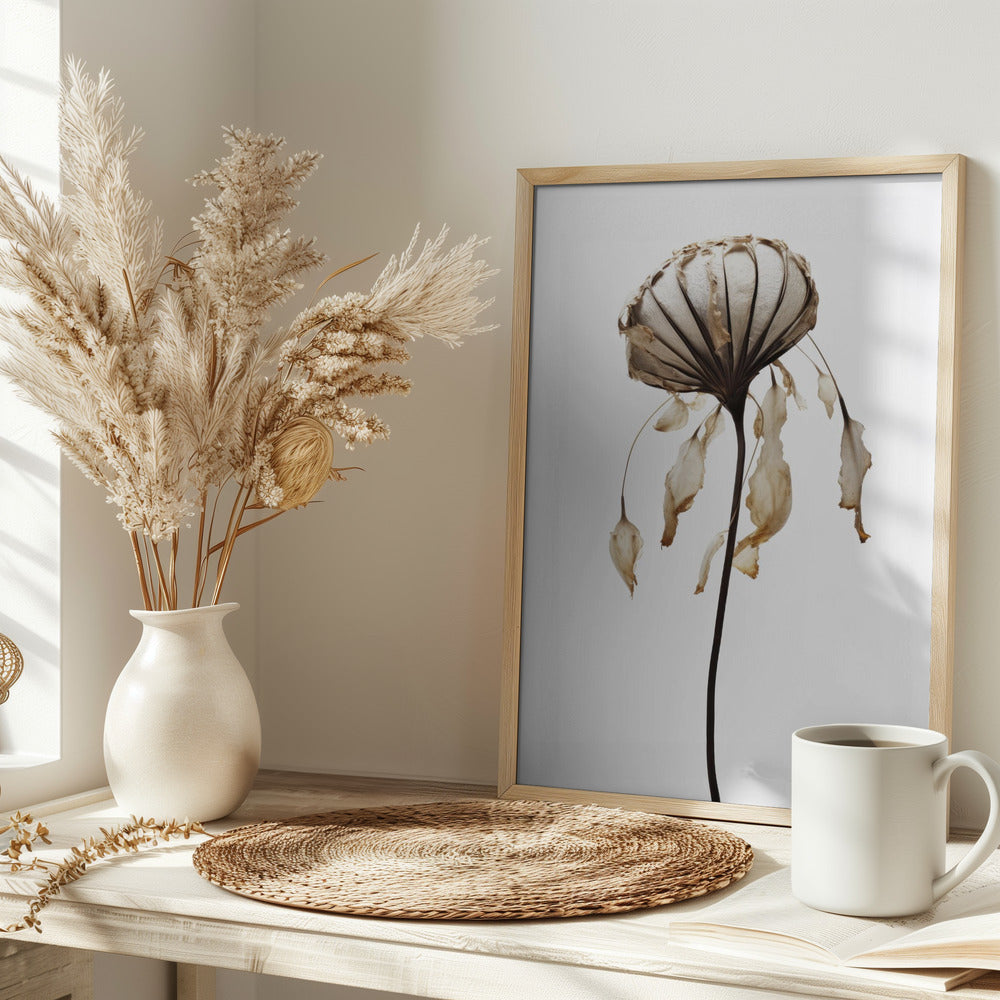 Dry Sea Shell Flower Poster