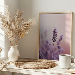 Lavender Detail Poster