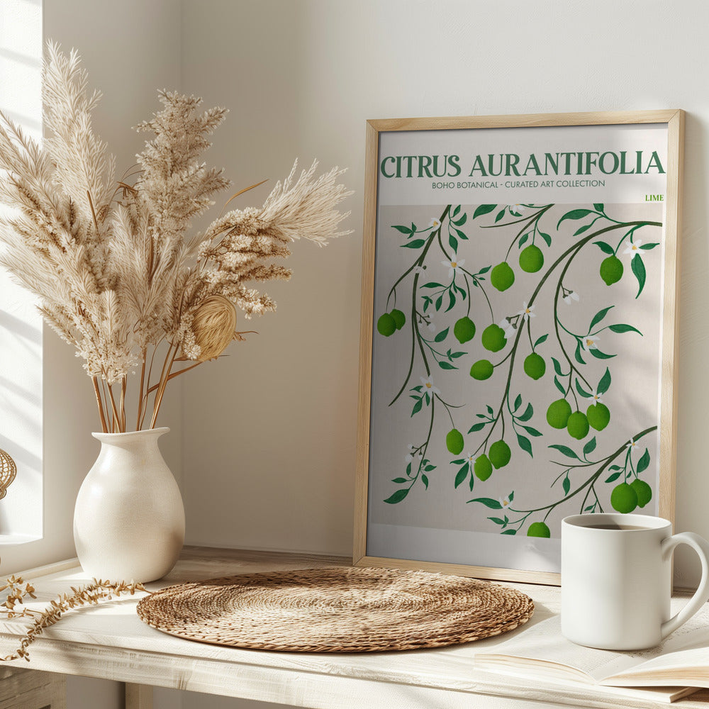 Citrus Aurantifolia - Lime Poster