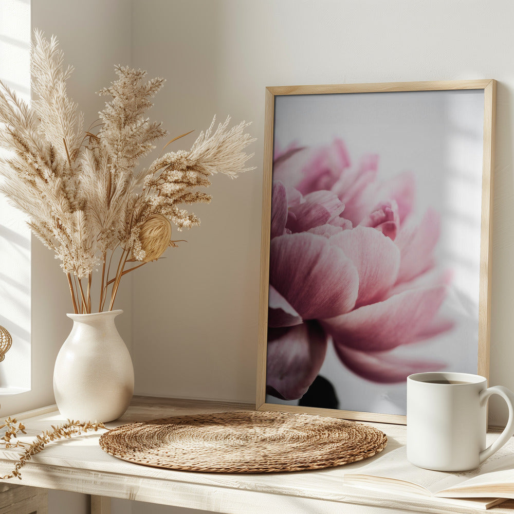 Peony 1 Poster