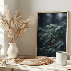 Winter Impressions No 1 Poster