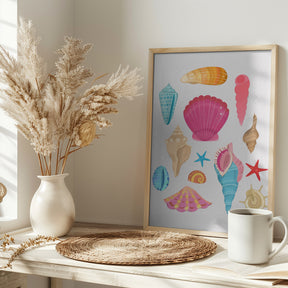 Seashells Poster