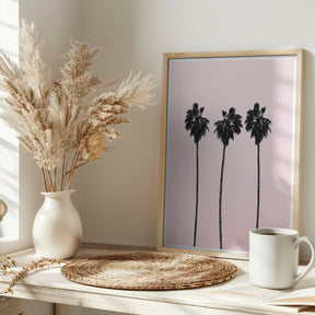 Pinky Palms Poster