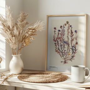 Watercolor print collection. Flower market - Madrid Poster