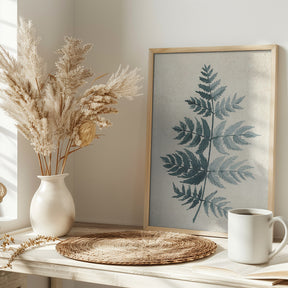 Teal watercolor fern 4 Poster