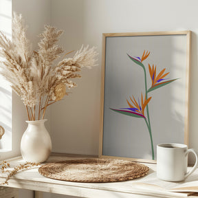 Bird of paradise Poster