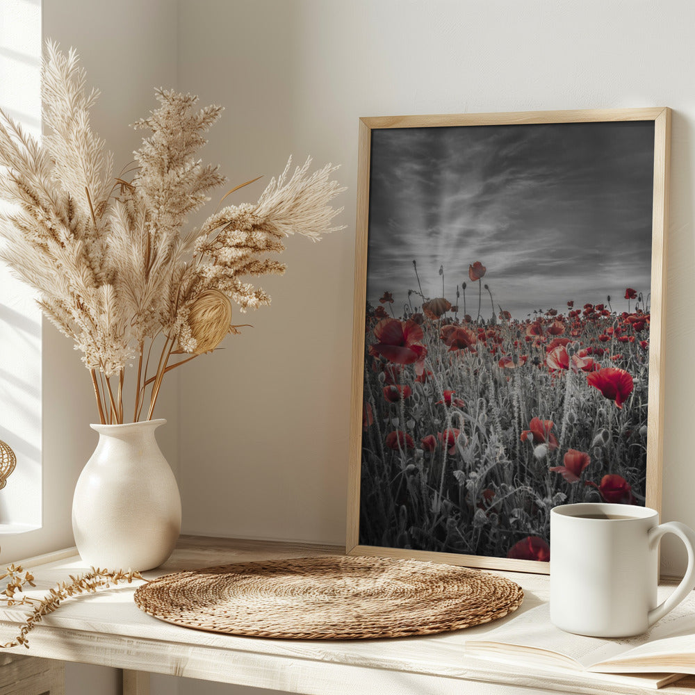 Gorgeous sunset in a poppy field | colorkey Poster