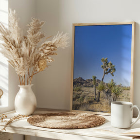 Idyllic Joshua Tree National Park Poster