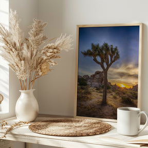 Charming sunset at Joshua Tree National Park Poster