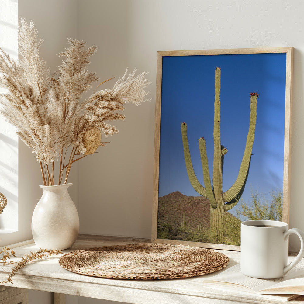 SAGUARO NATIONAL PARK Giant Saguaro Poster