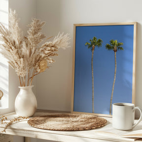 Idyllic Palm trees Poster