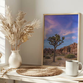 Joshua Tree Evening Atmosphere Poster