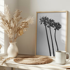 Summer idyll with palm trees Poster