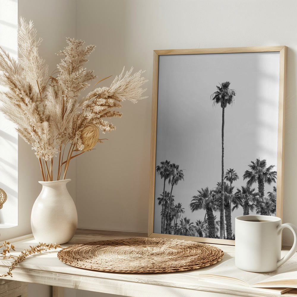 Palm Trees at the beach | monochrome Poster