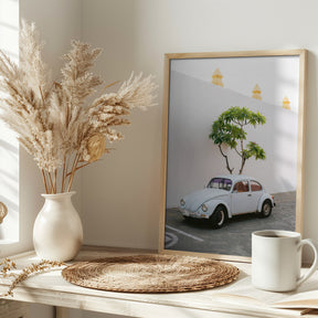 Pastel Volskwagen Beetle in the streets of Oaxaca Mexico Poster