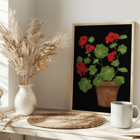 Red Geranium Poster