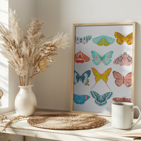 Butterfly Poster