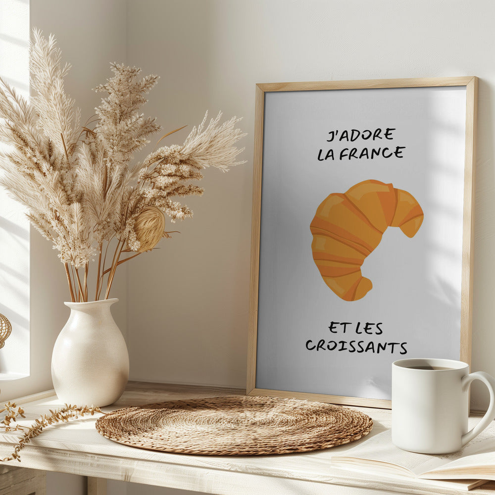 J´adore la france Poster