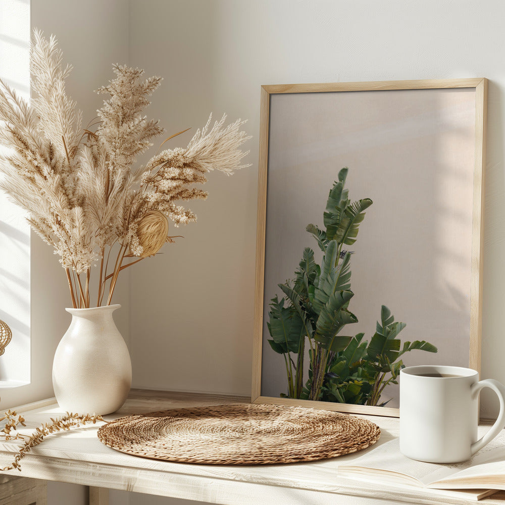 Botanical Cannes Poster