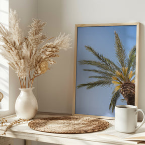 Vejer de La Frontera Palm Tree Poster