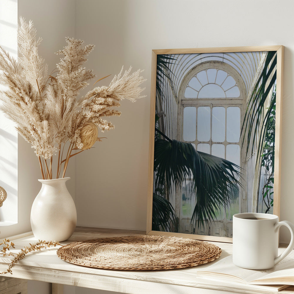 Palm House Windows Poster