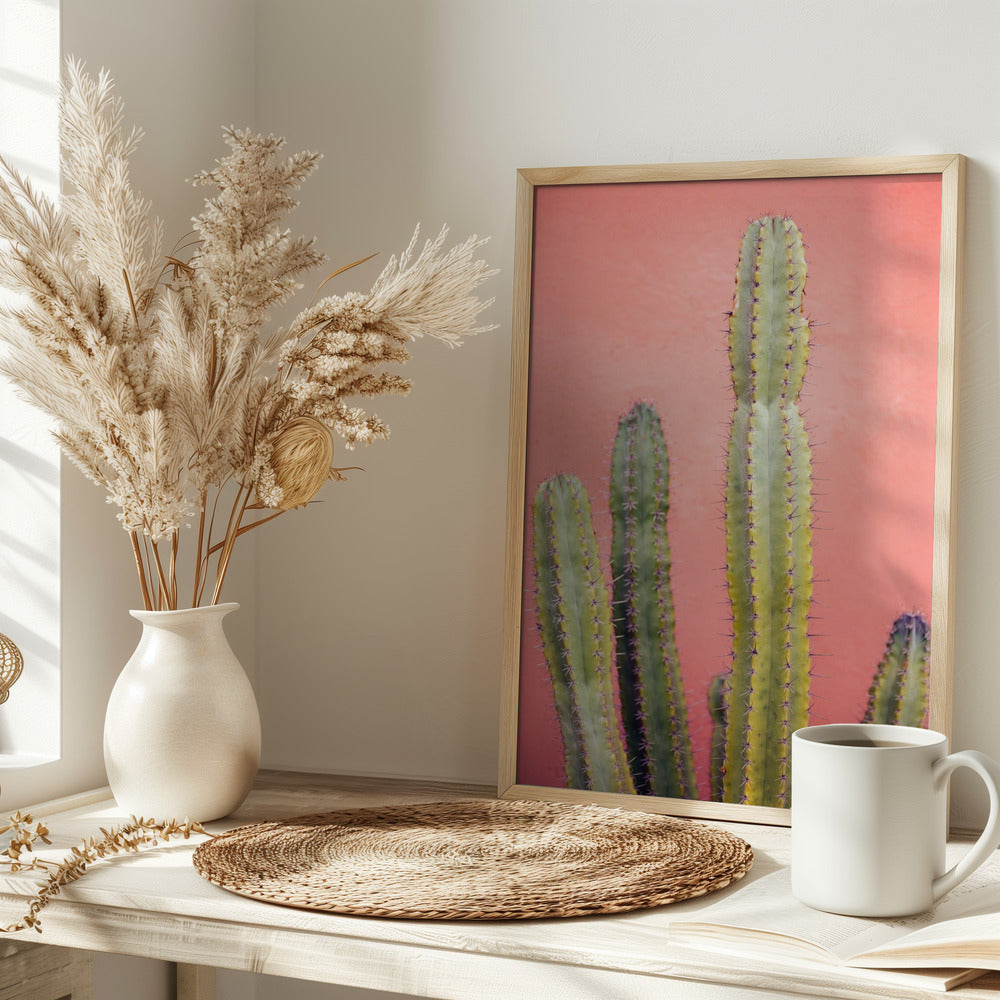 Pretty Pink Cactus Marrakech Poster